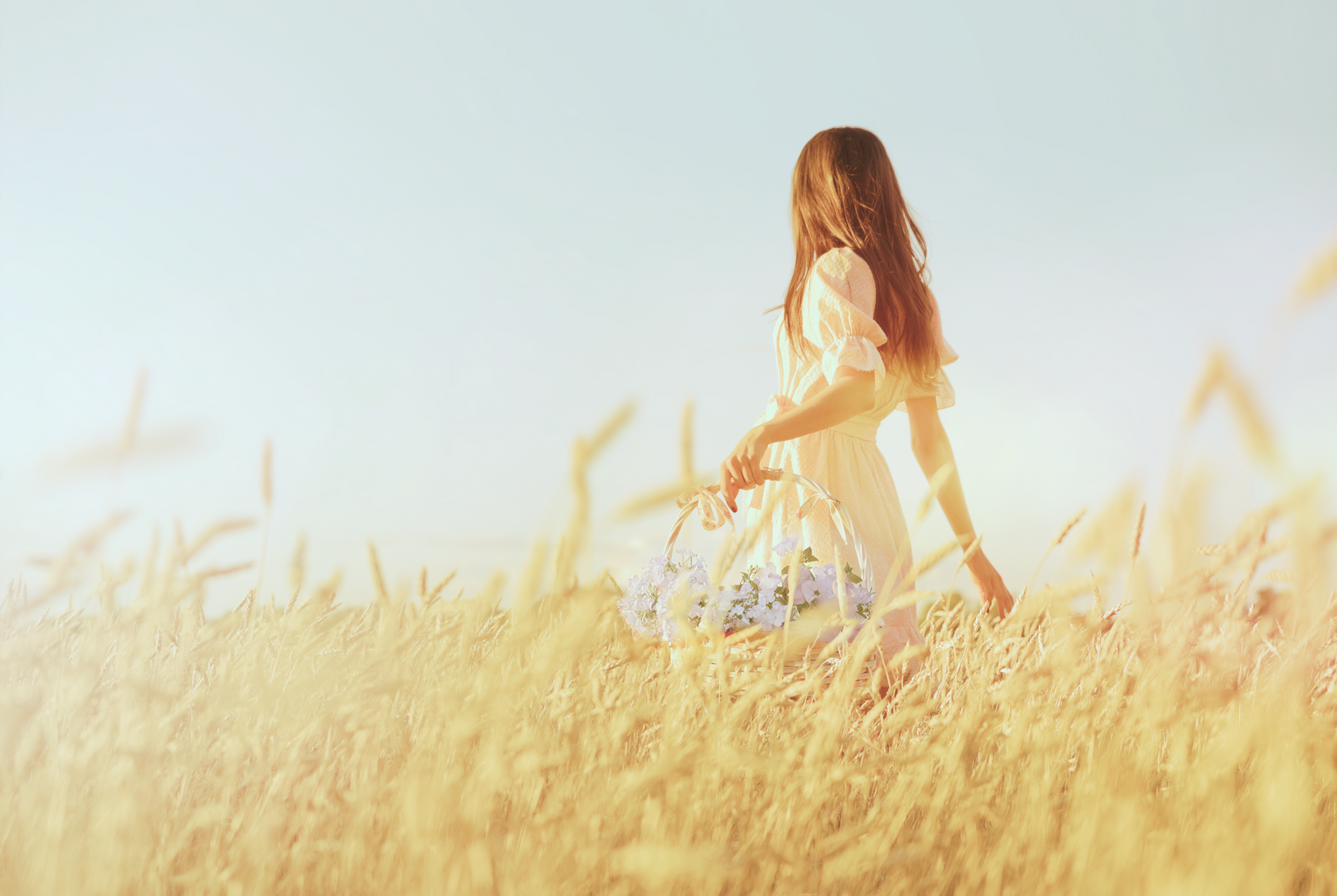 Woman in wheat field at sunset