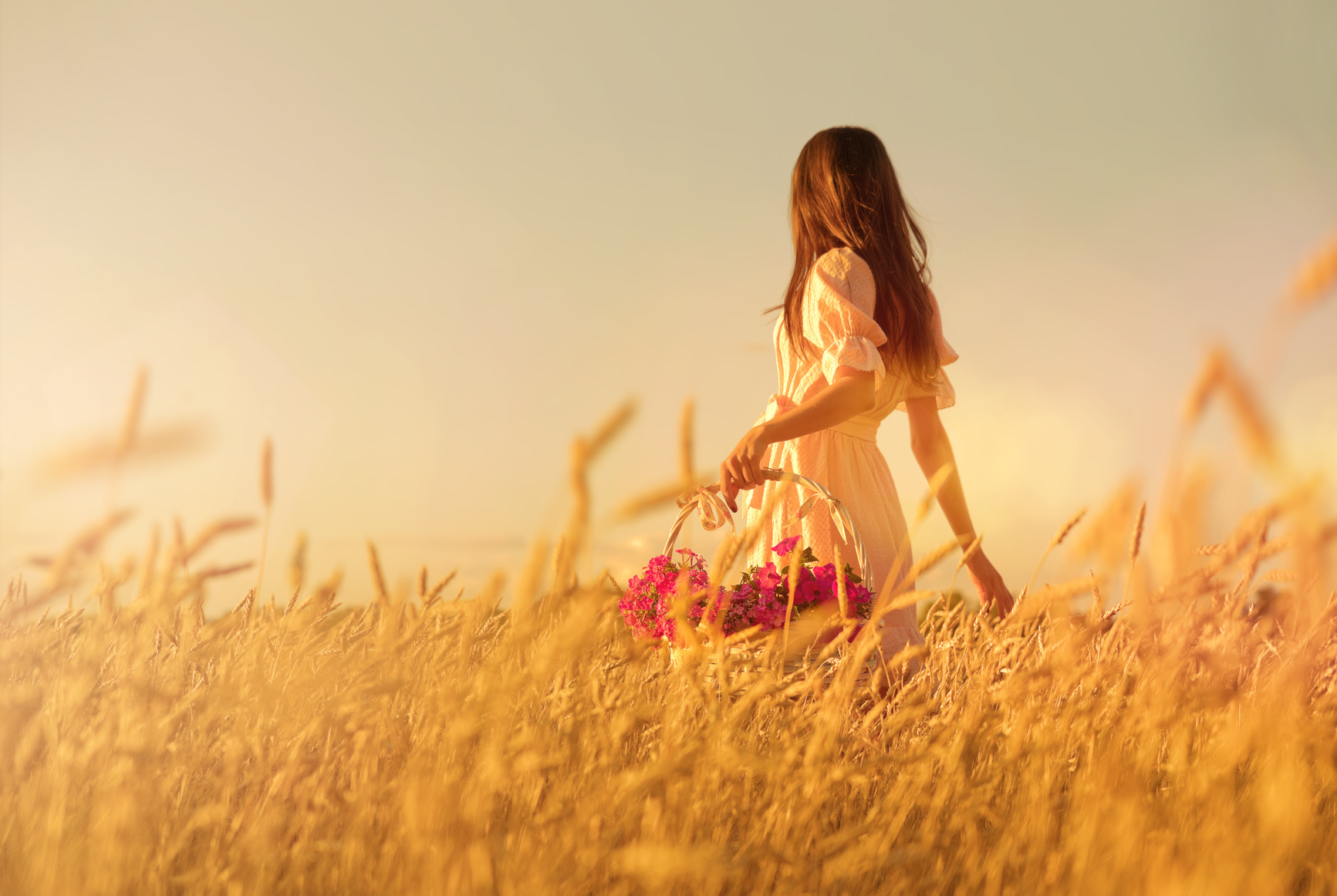 Woman in wheat field at sunset